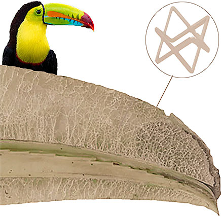 Evolution achieves maximum strength Evolution achieves maximum strength